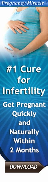  pregnancy miracle guide